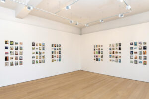 Between Friends 8 - Exeter Phoenix